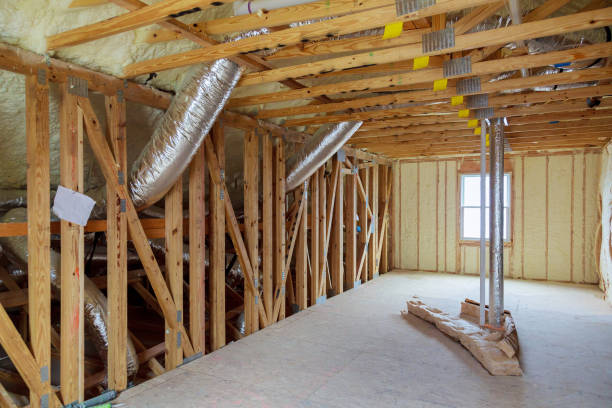 Best Insulation Removal  in Mford, IL