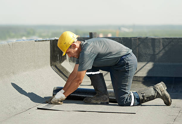 Best Best Insulation Companies  in Mford, IL