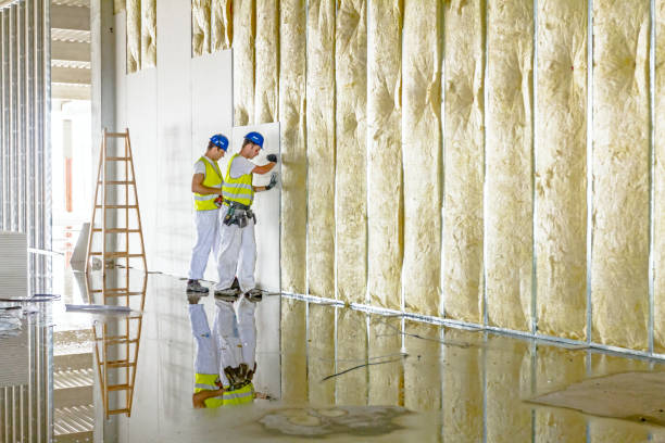 Insulation Inspection Services in Milford, IL